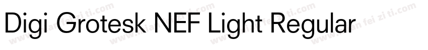 Digi Grotesk NEF Light Regular字体转换